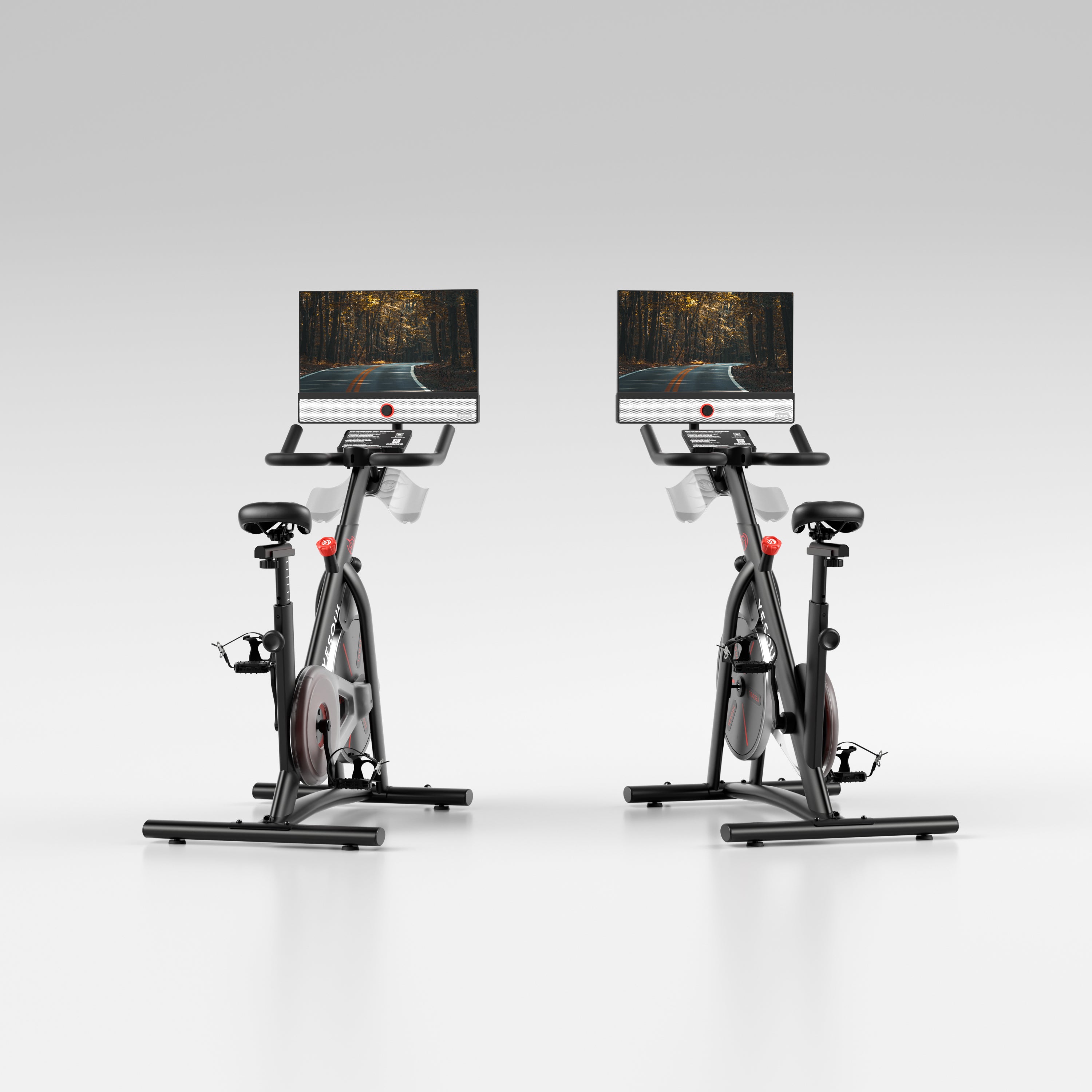 Family Home Gym: The Ride Duo Bundle (Twin Plus)